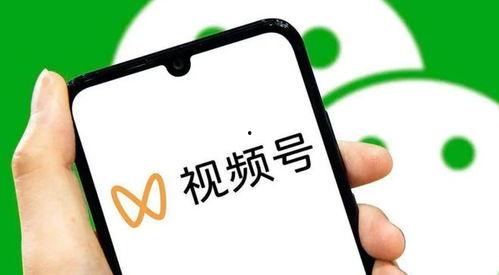 性欲困境,探索内心冲突与和谐之道