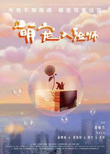 萌宠入殓师,一场与生命告别的温馨告别