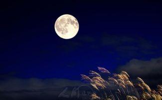 我本将心向明月,步履不停——追寻人生真谛的旅程